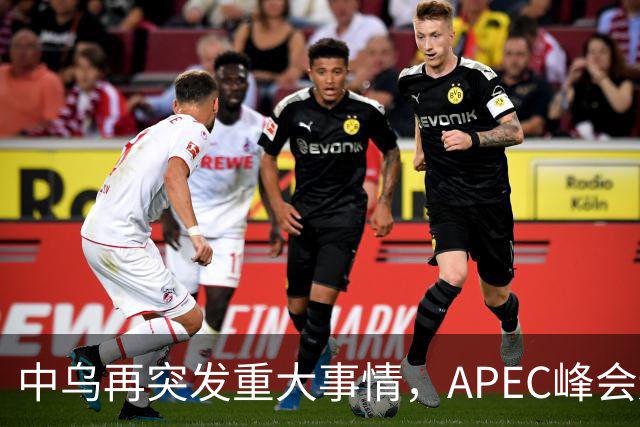 中乌再突发重大事情，APEC峰会还没正式开幕，停战最佳方案已出？