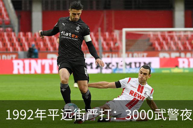 1992年平远街严打：3000武警夜袭，81天彻底捣毁边境“独立王国”